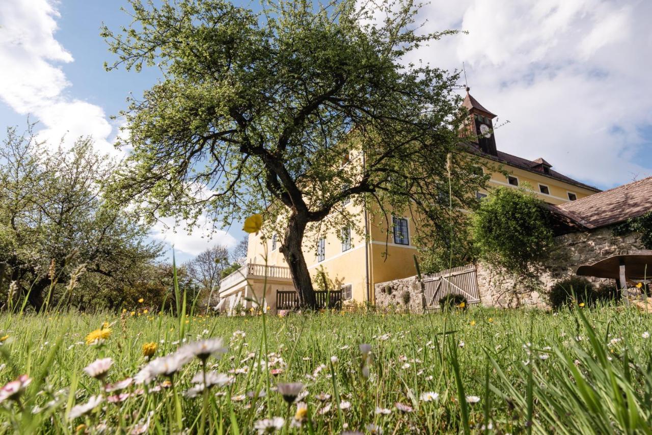 Castello Schloss Lichtengraben Bad St. Leonhard im Lavanttal Exterior foto