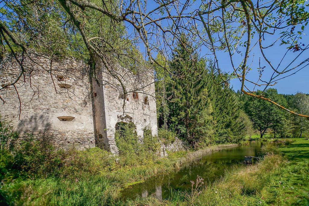 Castello Schloss Lichtengraben Bad St. Leonhard im Lavanttal Exterior foto